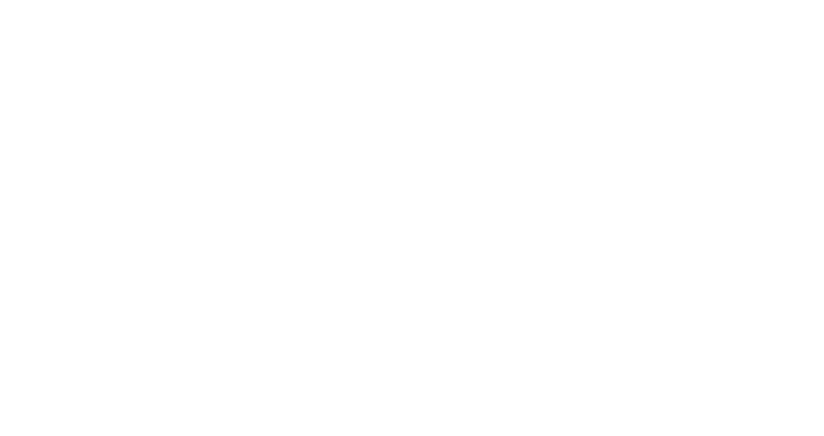 АНО «Центр организации систем устойчивого развития»